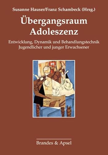 9783860996829: bergangsraum Adoleszenz: Entwicklung, Dynamik und Behandlungstechnik Jugendlicher und junger Erwachsener