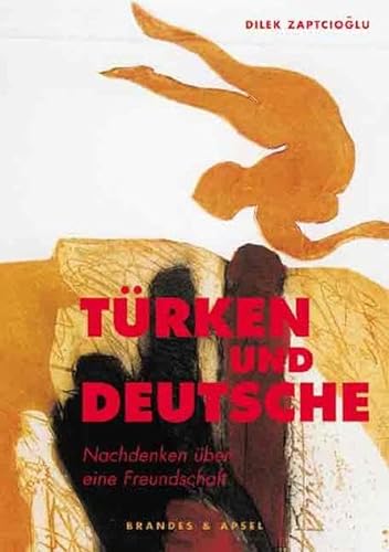 Stock image for Trken und Deutsche: Nachdenken ber eine Freundschaft for sale by medimops