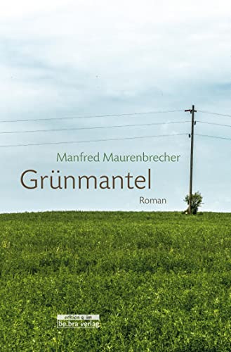 9783861247258: Grnmantel: Roman