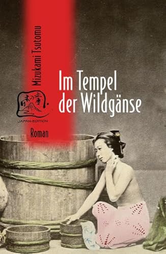 Im Tempel der Wildgänse : Roman. Mit e. Nachw. v. Eduard Klopfenstein - Tsutomu Mizukami