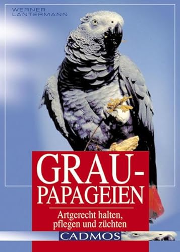 Stock image for Graupapageien: Artgerecht halten, pflegen und zchten for sale by medimops