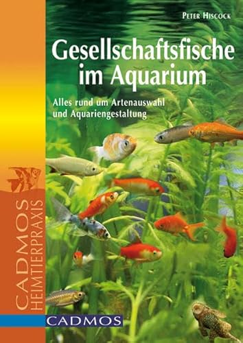 Beispielbild fr Gesellschaftsfische im Aquarium: Alles rund um Artenauswahl und Aquariengestaltung zum Verkauf von medimops