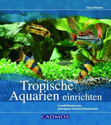 Beispielbild fr Tropische Aquarien einrichten: In zwlf Wochen zum gelungenen Gesellschaftsaquarium zum Verkauf von medimops