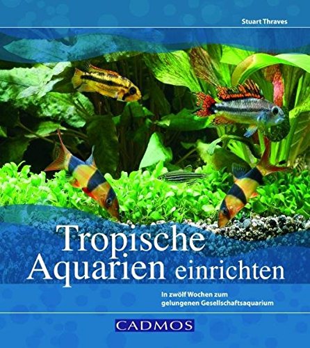 Imagen de archivo de Tropische Aquarien einrichten: In zwlf Wochen zum gelungenen Gesellschaftsaquarium a la venta por medimops