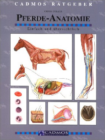 Imagen de archivo de Pferde-Anatomie a la venta por medimops