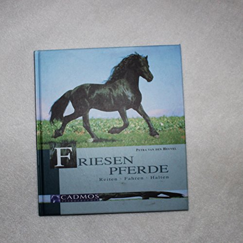 Stock image for Friesenpferde. Reiten. Fahren. Halten for sale by medimops