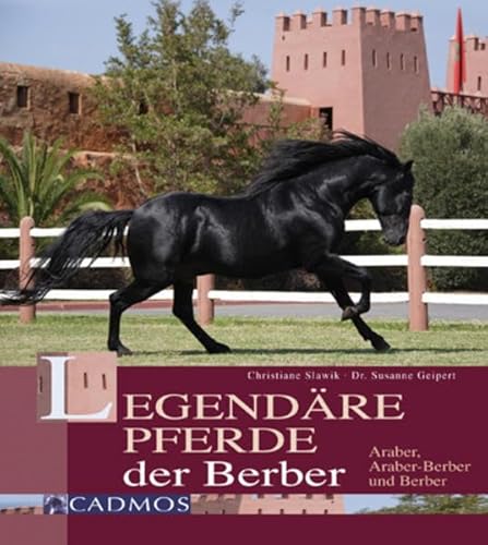 Stock image for Legendre Pferde der Berber: Araber, Araber-Berber und Berber for sale by medimops