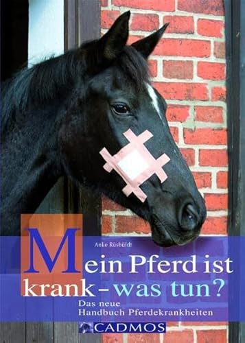 Beispielbild fr Mein Pferd ist krank - was tun? Das neue Handbuch Pferdekrankheiten zum Verkauf von Buchstube Tiffany