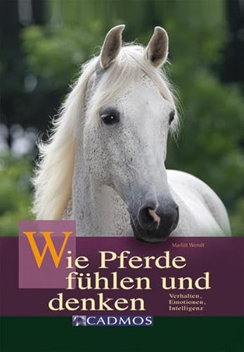 Beispielbild fr Wie Pferde fhlen und denken: Verhalten, Emotionen, Intelligenz zum Verkauf von medimops