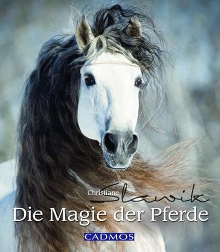 Stock image for Die Magie der Pferde for sale by medimops