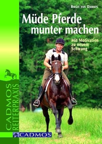 Müde Pferde munter machen: Mit Motivation zu neuem Schwung