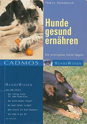 Stock image for Hunde gesund ernhren: Die wichtigsten Futter-Regeln for sale by medimops
