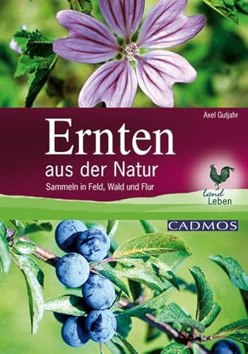 Ernten aus der Natur: Sammeln in Feld, Wald und Flur - Gutjahr, Axel