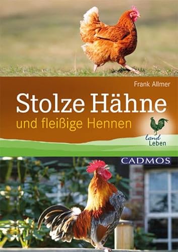 Stolze Hähne: Und fleißige Hennen - Frank Allmer