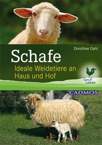 Beispielbild fr Schafe: Ideale Weidetiere an Haus und Hof zum Verkauf von medimops