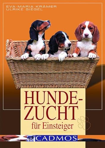 Imagen de archivo de Hundezucht fr Einsteiger: Vorbeugen. Helfen. Heilen a la venta por medimops