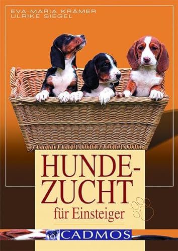 Stock image for Hundezucht fr Einsteiger: Vorbeugen. Helfen. Heilen for sale by medimops