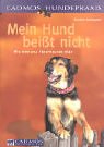 Imagen de archivo de Mein Hund beisst nicht: Wie man das Versprechen hlt a la venta por Versandantiquariat Felix Mcke
