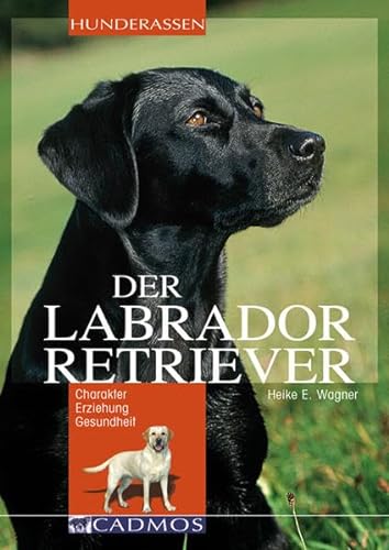 Labrador Retriever: Charakter Erziehung Gesundheit (Cadmos Hunderassen). - Heike E Wagner