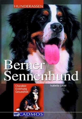 Stock image for Berner Sennenhund: Charakter, Erziehung, Gesundheit for sale by medimops