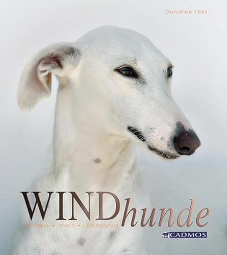 Beispielbild fr Windhunde: Schnell, Sanft, Liebenswert zum Verkauf von medimops