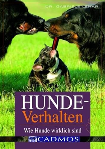 Beispielbild fr Hundeverhalten - Wie Hunde wirklich sind zum Verkauf von AMSELBEIN - Antiquariat und Neubuch