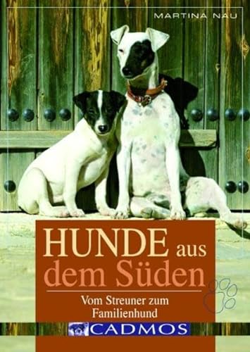 Beispielbild fr Hunde aus dem Sden: Vom Streuner zum Familienhund zum Verkauf von medimops