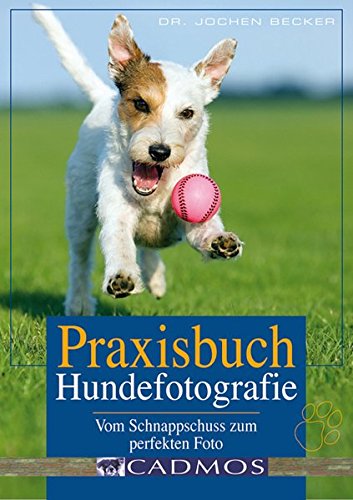 Beispielbild fr Praxisbuch Hundefotografie: Vom Schnappschuss zum perfekten Foto zum Verkauf von medimops
