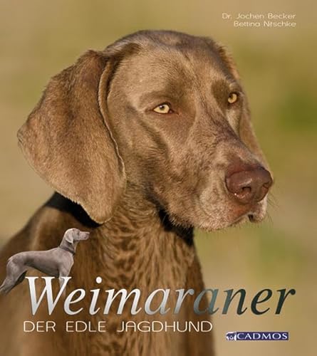 9783861278054: Weimaraner: Der edle Jagdhund