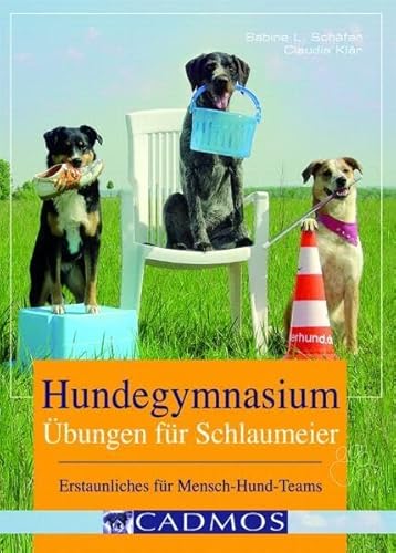Imagen de archivo de Hundegymnasium: bungen fr Schlaumeier a la venta por medimops