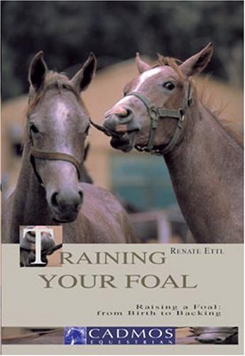 Stock image for Training Your Foal: Raising a Foal - From Birth to Backing for sale by WorldofBooks