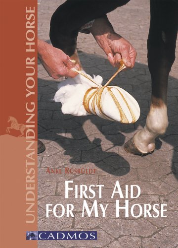 Beispielbild fr First Aid for My Horse (Understanding Your Horse) zum Verkauf von MusicMagpie