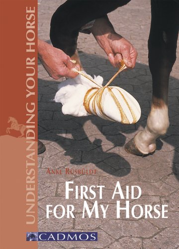 Stock image for First Aid: For My Horse (Understanding your horse) for sale by WorldofBooks