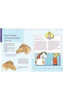 Beispielbild fr Understanding Horses with Caddie: Bk.2 zum Verkauf von Reuseabook