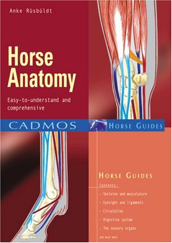 Beispielbild fr Horse Anatomy: Easy-To-Understand and Comprehensive (Cadmos Horse Guides) zum Verkauf von WorldofBooks