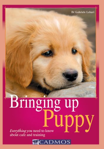 Stock image for Bringing Up Puppy: Everything You Need to Know About Care and Training for sale by WorldofBooks