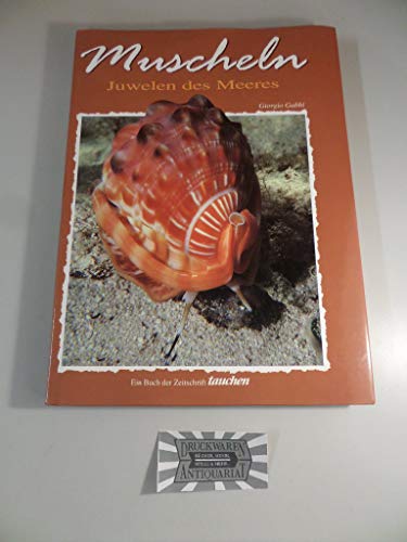 Stock image for Muscheln - Juwelen des Meeres for sale by Bcherpanorama Zwickau- Planitz