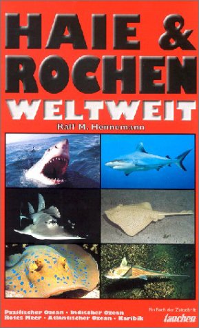 9783861325840: Fischfhrer Haie und Rochen weltweit