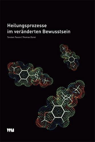 Imagen de archivo de Heilungsprozesse im vernderten Bewusstsein -Language: german a la venta por GreatBookPrices