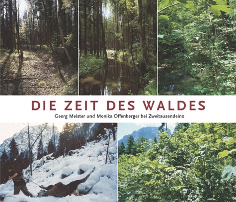 9783861506300: Wald im Wandel (Livre en allemand)