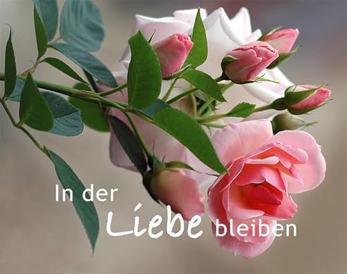 Imagen de archivo de In der Liebe bleiben a la venta por medimops