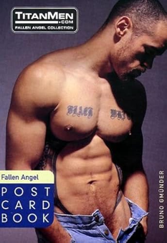 Imagen de archivo de Fallen Angel Postcard Book a la venta por dsmbooks
