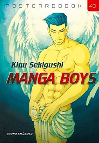 9783861872894: Manga Boys: 48 (Postcard book)