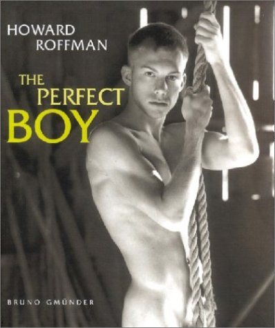 Beispielbild fr The Perfect Boy zum Verkauf von BMV Bloor