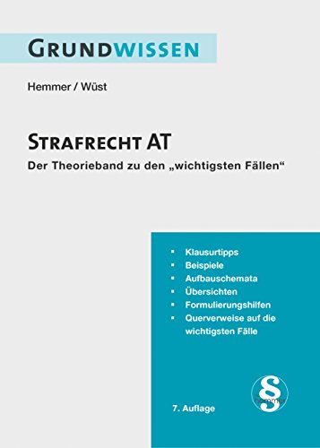 Beispielbild fr Strafrecht AT: Der Theorieband zu den "wichtigsten Fllen" zum Verkauf von medimops