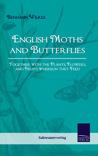 Stock image for English Moths and Butterflies for sale by Ria Christie Collections