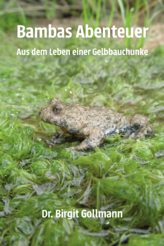 Stock image for Bambas Abenteuer: Aus dem Leben einer Gelbbauchunke (German Edition) for sale by GF Books, Inc.