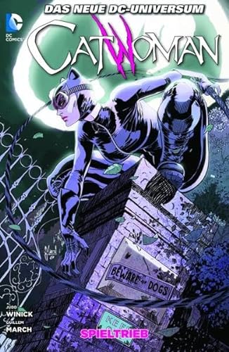 Beispielbild fr Catwoman: Bd. 1 (Das neue DC-Universum) zum Verkauf von medimops