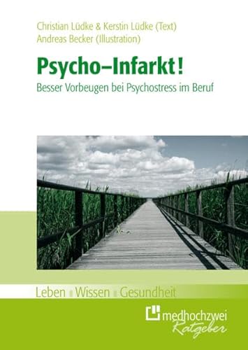 Beispielbild fr Psycho-Infarkt: Besser vorbeugen bei Psycho-Stress im Beruf zum Verkauf von medimops