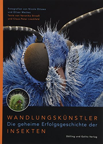 Wandlungskünstler. Die geheime Erfolgsgeschichte der Insekten. - Veronika, Straaß, Lieckfeld Claus-Peter Meckes Oliver u. a.